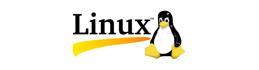 Linux初步学习系列